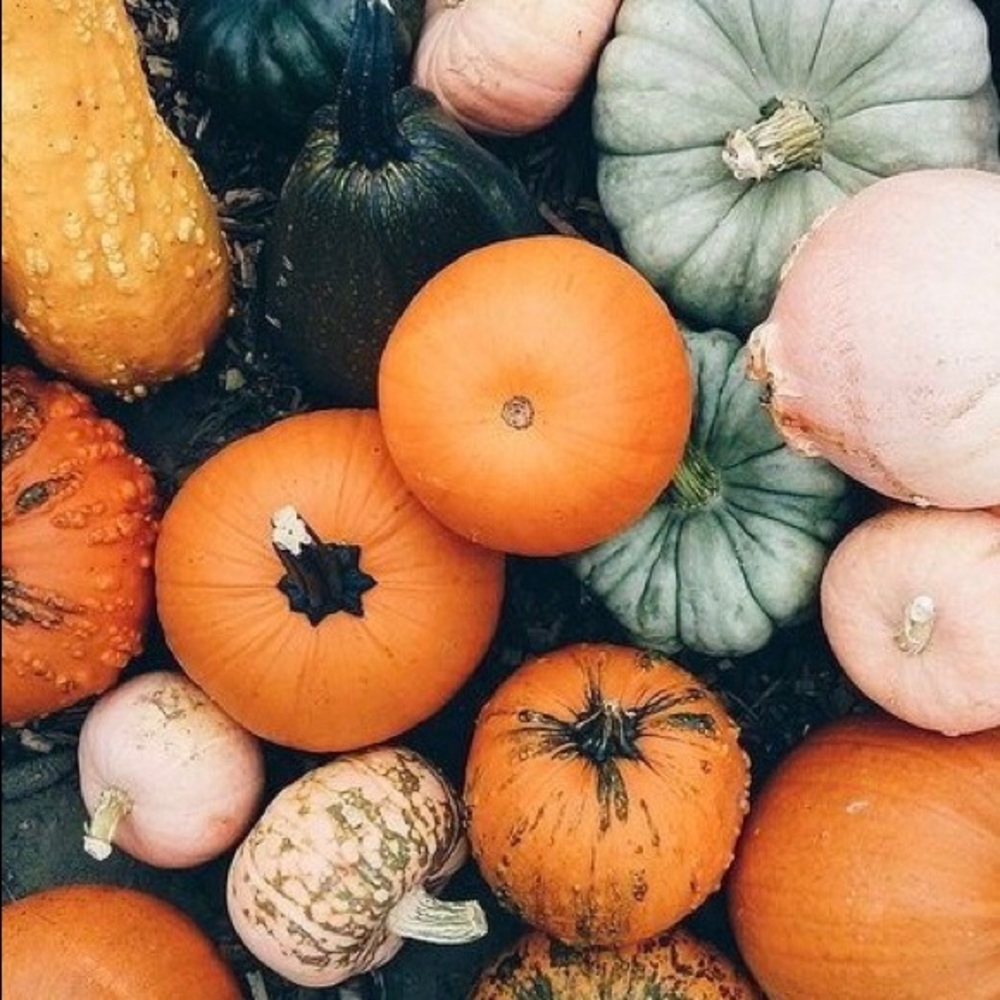 HAPPY HALLOWEEN 🎃